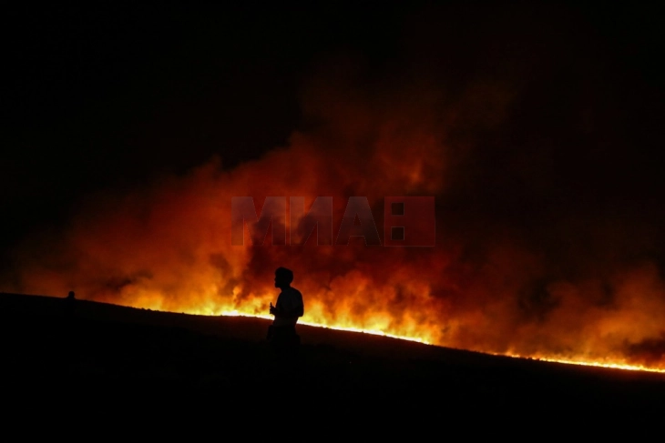 Се уште горат шумските пожари во турската провинција Измир