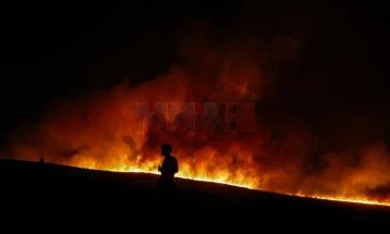 Се уште горат шумските пожари во турската провинција Измир