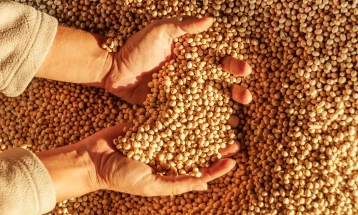 ЕК одобри употреба на генетски модифицираната соја како храна за луѓето и животните 