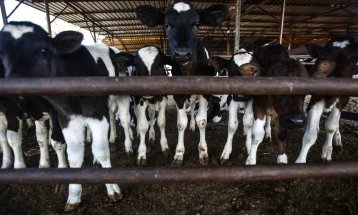 ЕУ во расчекор меѓу амбициите на зелената транзиција и реалноста во земјоделството  