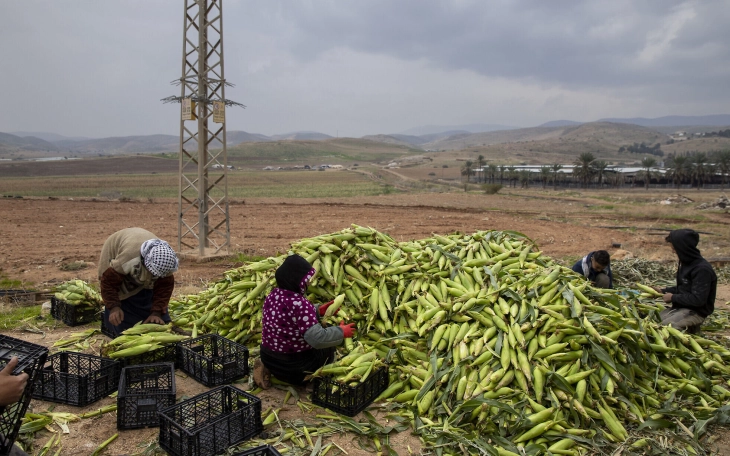 Ламерт: ЕУ има Директива за заштита на странските сезонски работници од експлоатација 