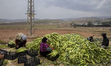 Ламерт: ЕУ има Директива за заштита на странските сезонски работници од експлоатација 