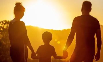 Германски модел за поттикнување на природниот прираст: Променлива стапка на придонесот за долгорочна нега 