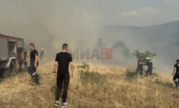 MPB: Për shkak të zjarrit plotësisht është ndërprerë komunikacioni drejt pikës kufitare të Bllacës