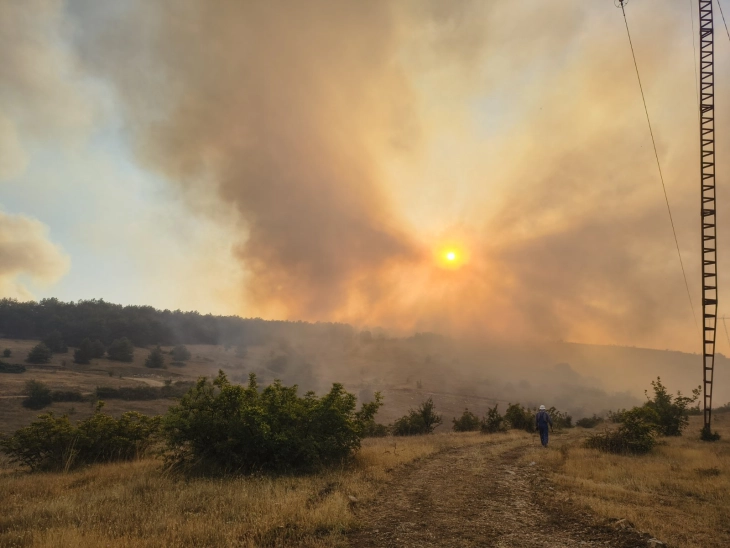 ЦУК: Пожарот во Чучер Сандево надвор од контрола