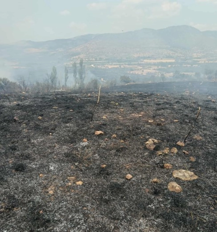 Опожарени 130 хектари сува трева и ниска вегетација во Руѓинце