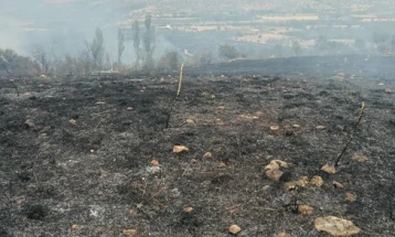 Опожарени 130 хектари сува трева и ниска вегетација во Руѓинце