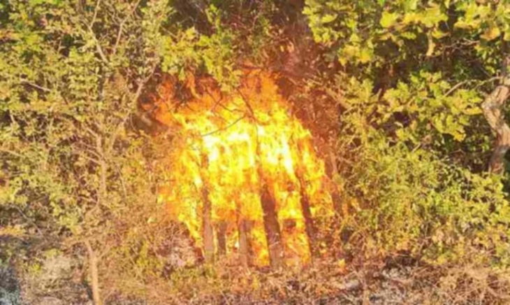 Angelov: Fire near Blace likely set deliberately, no houses burned in Chucher