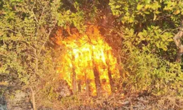 Angelov: Fire near Blace likely set deliberately, no houses burned in Chucher