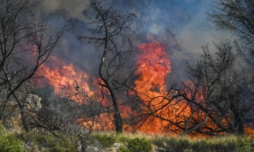 Пожарот кај Марсеј под контрола, повредени девет пожарникари, изгореа 700 хектари вегетација