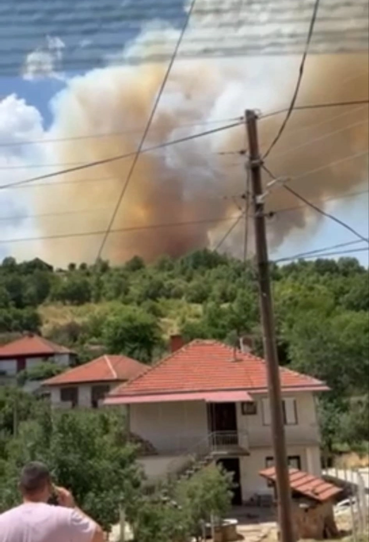 Во Крива Паланка три пожари, поради ветерот постои опасност да се приближат кон домовите на жителите на населбата Лозаново