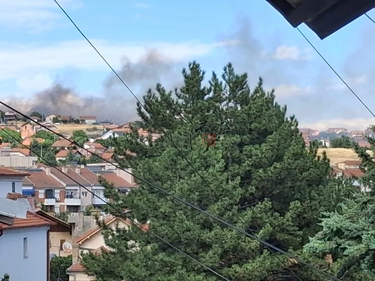 Dimitrievski: Për një orë, njëmbëdhjetë zjarre në Kumanovë, qytetarët të raportojnë lëvizjet e individëve dhe grupeve rreth vendeve me tym