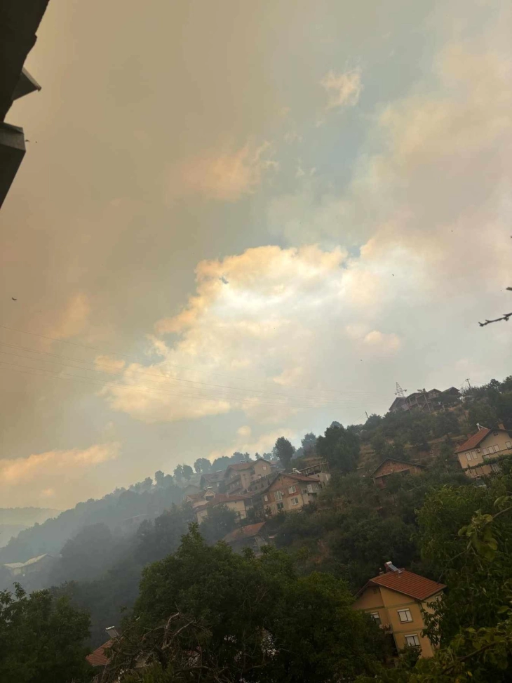 Најдено починато лице во близина на пожар во кривопаланечко Лозаново