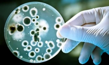 Zbulohet gjurma më e hershme deri më tani e bakterit të murtajës, e vjetër 5.500 vjet