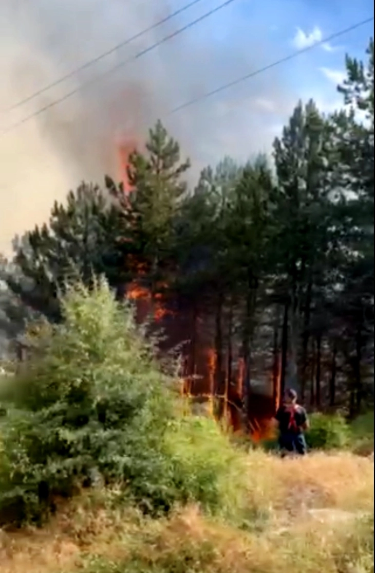 Пожарот во Крива Паланка зема една жртва, изгорени се 4 куќи, опожарени 80 хектари шума