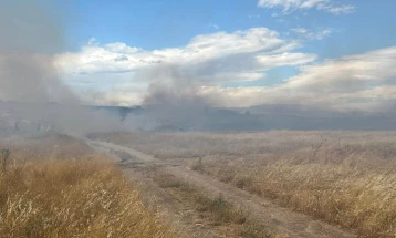 Граѓаните да пријават штети од пожари повика општина Куманово