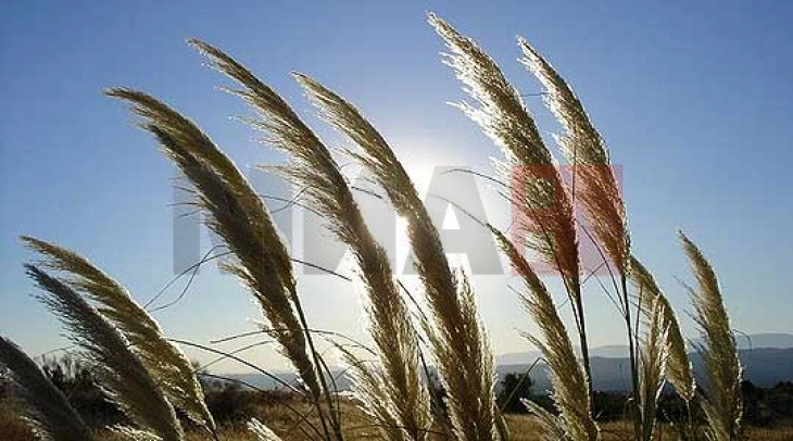 Mot me diell me vranësira të lehta deri mesatare, temperatura maksimale deri në 33 gradë