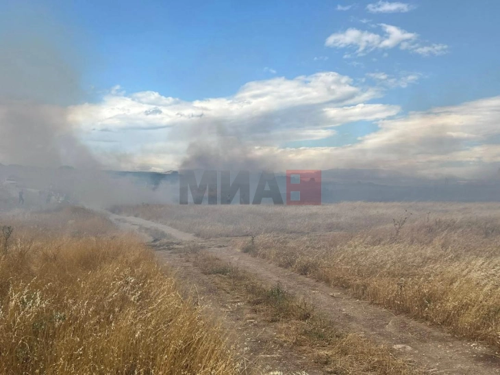 Куманово објави оглас за работно ангажирање  на 30 пожарникари