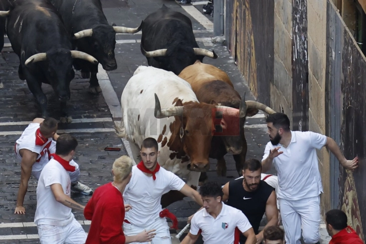 Уште шест лица повредени во трката со бикови во Памплона