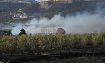 QMK: Aktive janë pesë zjarre, shuhen 19 të tjera
