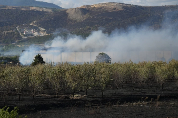 Five wildfires burning, 19 extinguished since Sunday