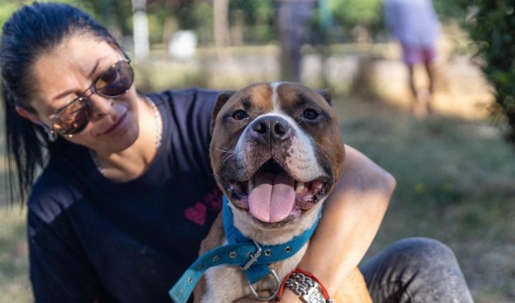 Кампања на „Лајка“ за рушење на предрасудите кон питбулите