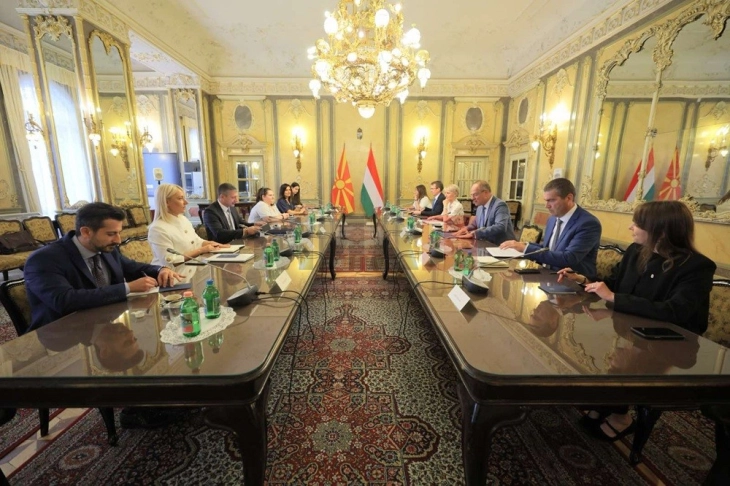 Perinski: Maqedonia dhe Hungaria po thellojnë bashkëpunimin në dy segmente kyçe, zhvillimin rajonal dhe vetëqeverisjen lokale