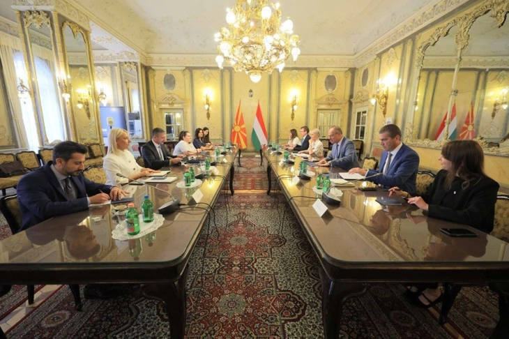 Perinski: Macedonia and Hungary deepening cooperation in regional development, local self-government 