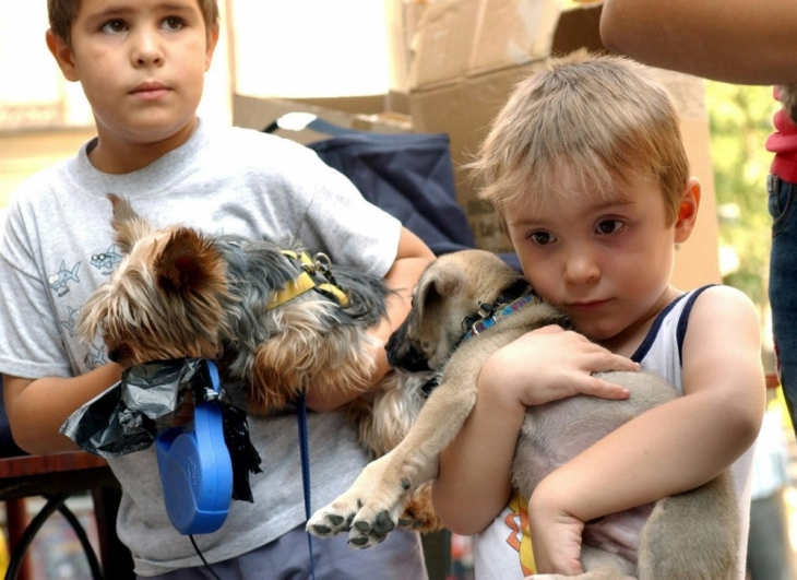 Во ЕУ има двојно повеќе семејства со домашни миленици отколку со деца