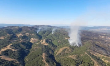 CMC: Two active wildfires, 18 extinguished, one under control