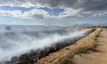 Локализирани поголем дел од пожарите во Куманово и Старо Нагоричане