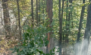 Изгаснат пожарот кај делчевско  Стар Истевник, на границата со Бугарија