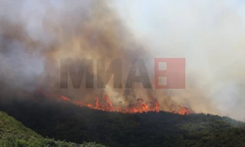 QMK: Tetë zjarre aktive, nën kontroll pesë, ndërsa 12 janë shuar
