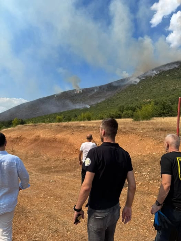 ЦУК: Пожарот кај Желино под контрола