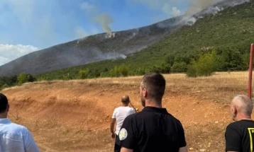 ЦУК: Пожарот кај Желино под контрола