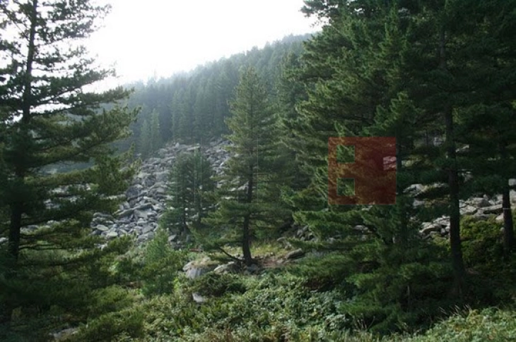 Evakuohet me sukses alpinisti i lënduar në gurishten e Pelisterit