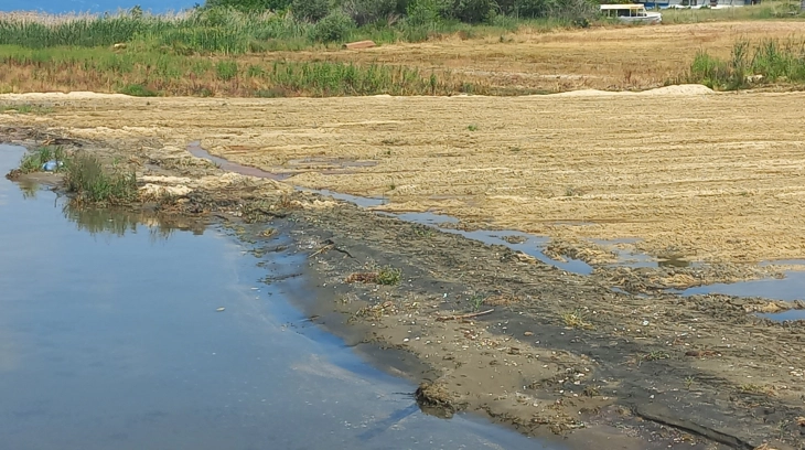 Активен пожар кај Езерани, Волкодери и Покрвеник во Преспа