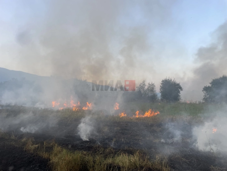 Активни пет пожари, шест под контрола, а 18 се изгаснати