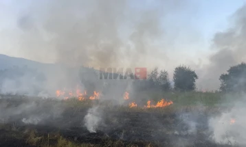 Активни пет пожари, шест под контрола, а 18 се изгаснати