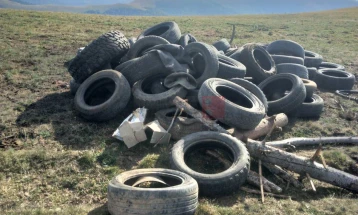 Angellov: Parandalohet edhe një tentim për shkaktim të zjarrit në pyje