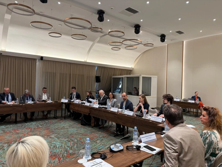 Муртезани: Развојот на нов механизам за скрининг на странски директни инвестици не е само правна, туку и стратешка реформа