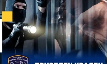 Лишени од слобода крадци во Кавадарци, пронајден поголем дел од украденото