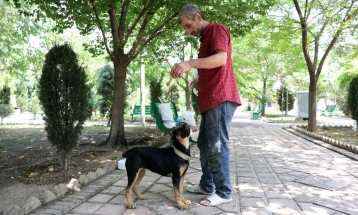 Иран ја проширува забраната за шетање кучиња во дваесетина градови: „Нечисти се и се симбол на Западот“