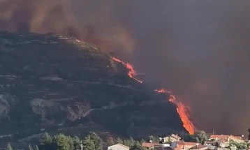 На Кипар поради шумски пожар евакуирани четири села