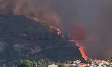 Në Qipro për shkak të zjarrit pyjor evakuohen katër fshatra