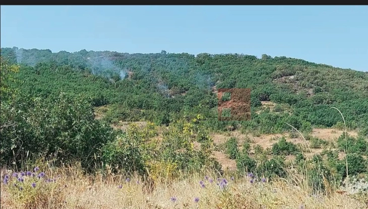 Се гаси пожарот на планината Серта меѓу штипските села Селце и Драгоево