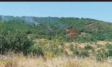 Се гаси пожарот на планината Серта меѓу штипските села Селце и Драгоево