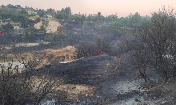 Zjarri në Qipro është ende aktiv - dy të vdekur, dhjetëra të plagosur, dëme materiale dhe evakuime të reja të zonave të populluara