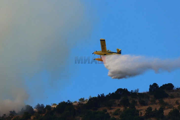 Shtatë zjarre aktive - digjen pyje me trungje të ulëta, vegjetacion i ulët dhe kashtë