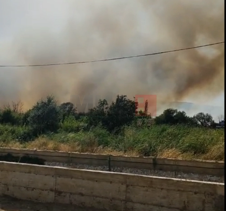 Голем пожар избувна попладнево во близина на Струмица